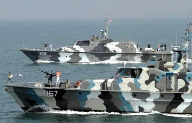 北部湾，饥渴的“海盗”
