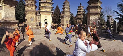 功夫的江湖 —中国功夫的原生态调查