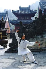 武当功夫的两个世界