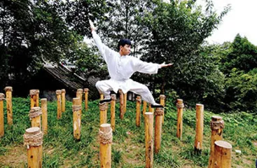 陈家沟太极拳的武学生态