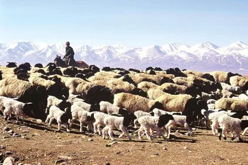 乌拉盖:12年开发之后2
