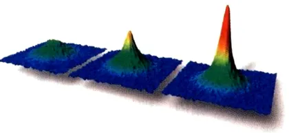 2004年十大科学突破4