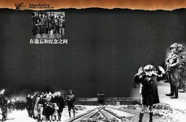奥斯威辛:在遗忘和纪念之间