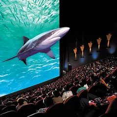 终极电影体验,人人都爱“大”屏幕