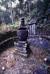 问禅宜丰1