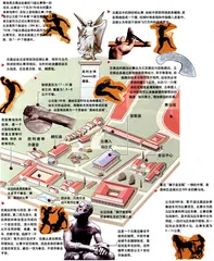图表解读奥运会27
