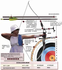 图表解读奥运会28