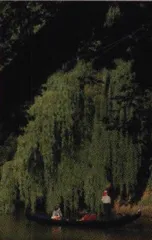 欧洲科学日5
