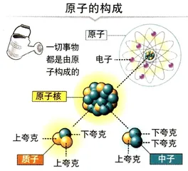 2004年诺贝尔奖：一花一世界4