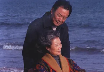 家庭伦理剧的妇女问题2