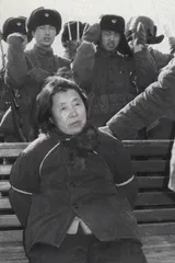 邓小平的1979和平崛起元年18