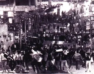 老战士阿拉法特6