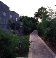 建筑师们的金手指1