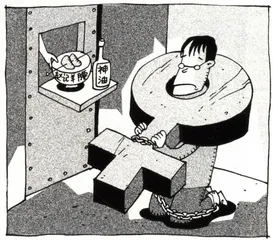 生活圆桌(310)