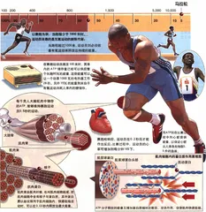 图表解读奥运会16