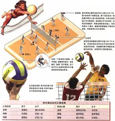 图表解读奥运会19