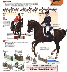 图表解读奥运会23