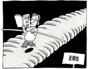 生活圆桌(311)