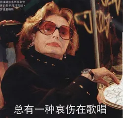 总有一种哀伤在歌唱