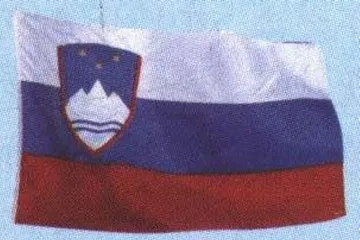新成员国概况16