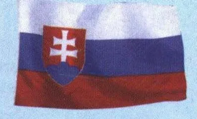 新成员国概况18