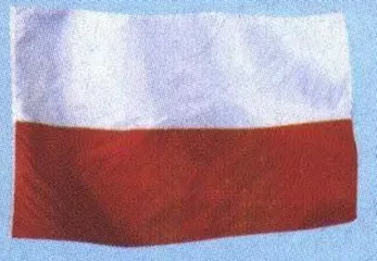 新成员国概况20