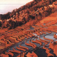 《探索·发现》栏目的本土生存