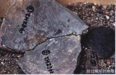 寻找西周王陵：中国的特洛伊发现3