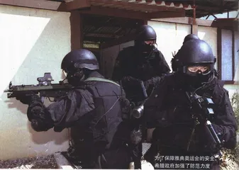 回到故乡的奥林匹克3
