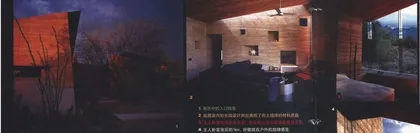 索诺兰沙漠里的另一朵花