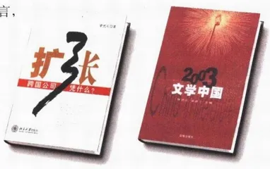 皮包公司2