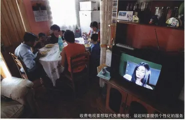报道：广电总局叫卖数字电视1