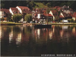 甜蜜的酒乡