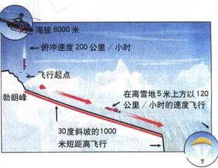 法国“鸟人”