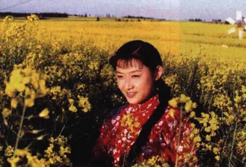 中年崔永元的梦想与情怀7
