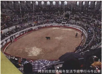 阿尔的梵高1