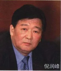 政府角色下，新鸿基入股长虹受阻2