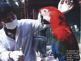 报道：北京动物园搬迁的公益、商业之争4