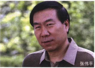张艺谋品牌的打造者——张伟平1