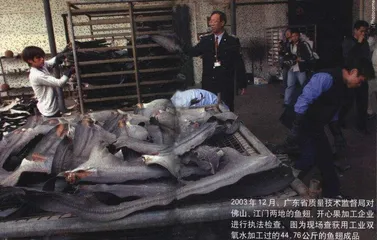 报道：食品安全：我们为什么紧张1