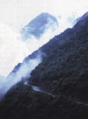踏访秦岭保护区最后1000只大熊猫4