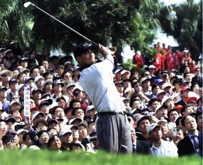 高尔夫20年之痒4