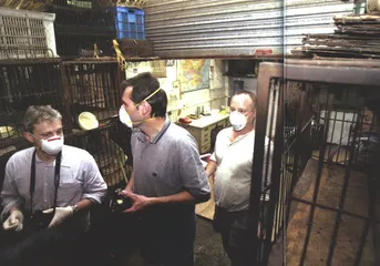 人畜病毒链