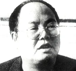 报道：朱胜文的灰色档案7