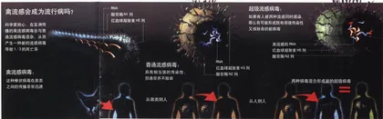 报道：养殖产业遭遇禽流感1