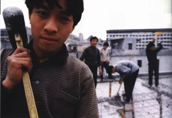 交通厅长 多少的钱多大的权2