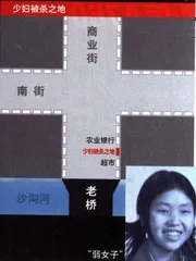 四川凶杀小镇的治安生态4