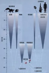 你好，亚洲德氏猴！