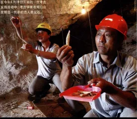 周口店研究保护难题1