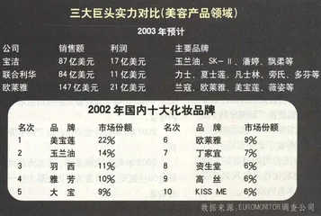 中国化妆品之争3